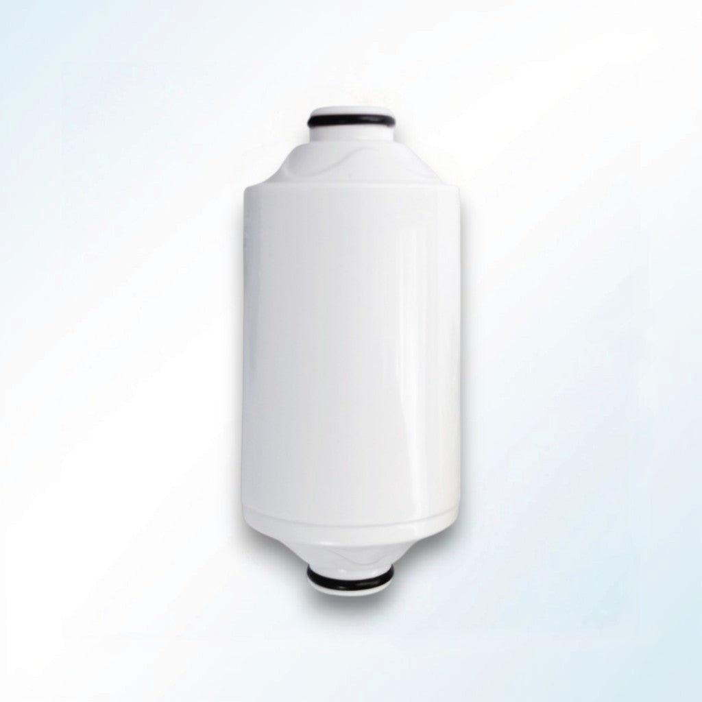 Replacement filter for shower filter