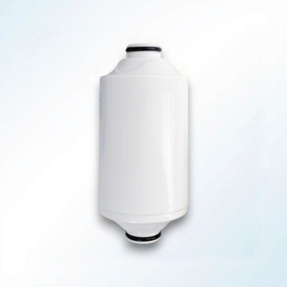 Replacement filter for shower filter